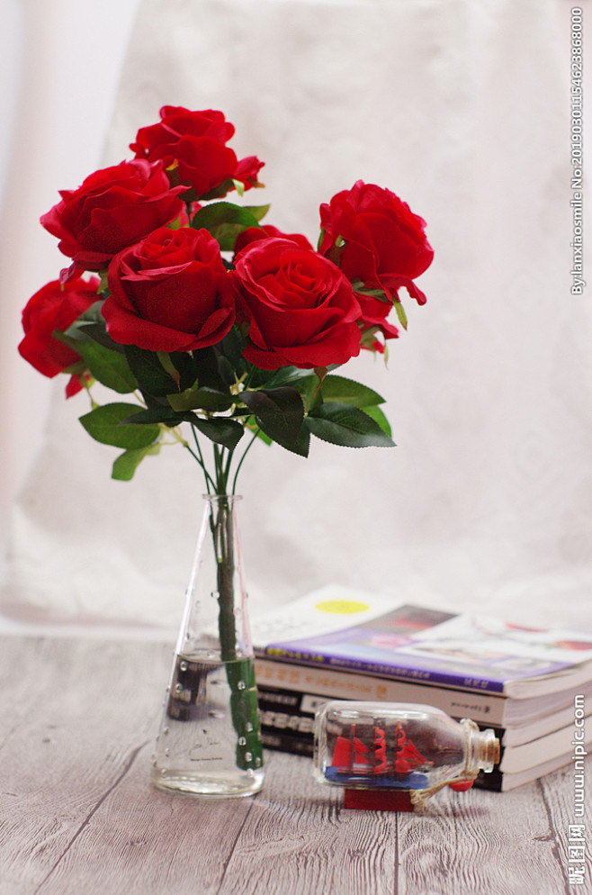 摄影-花-红玫瑰