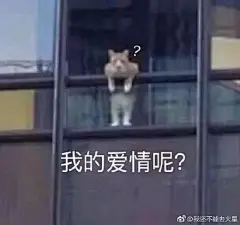 第二届表情包大赛！！冲鸭！！ 来自每日甜分 - 微博