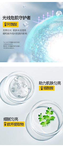 赫本拉哈采集到化妆护肤类