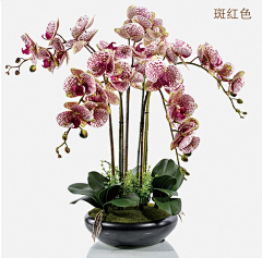 包子-7采集到花艺