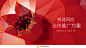 策划人宝藏方案库.ppt 【快速找到好案子】-灵感严选