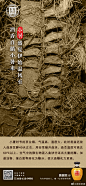 @波波匠酒 的个人主页 - 微博