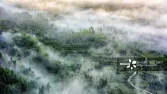 采集图片