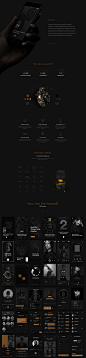 PSD源文件黑金UI工具包 Gold & Coal Free UI Kit :  