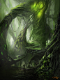 森林-神树-藤蔓-概念-445095