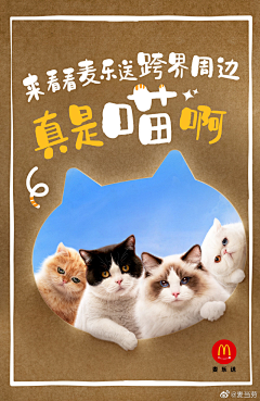 莫名的欧阳采集到板式