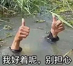 今日份表情包合集，晚上好 ​​​​