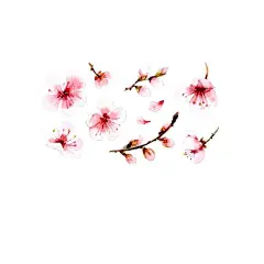 梅花桃花PNG   - 源文件下载【酷图网】梅花桃花PNG,水墨梅花,中国风梅花,清新梅花,腊梅,手绘梅花,桃花,樱花,花卉,梅兰竹菊,花草,海报背景,工艺插画,传统文化,广告设计,PNG免扣素材,