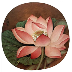 Dan`joo采集到花