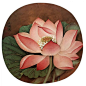 Lotus Out Of Water, Wu Bing, 23.8 * 25.1 cm, painted on silk, Song Dynasty, 960 - 1279.