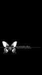 (815) Pinterest