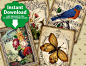 Vintage Garden / Flowers / Birds / Butterflies - ATC, ACEO Tags, Instant Download and Print Digital Sheet