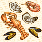 卡通海鲜食品矢量素材，素材格式：AI，素材关键词：海鲜,龙虾,虾,生蚝,鲍鱼