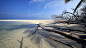 艾布度岛沙滩4k风景壁纸