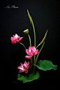 (90) Pinterest
