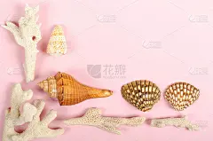 平躺的概念夏季旅游度假，贝壳的顶视图上的淡粉色背景与复制空间在最小的风格，贺卡模板