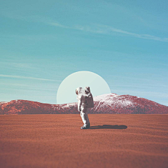 星玫采集到morning~