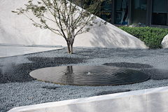 迪路兽进化采集到节点—水景