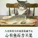 呐呐呐小画家