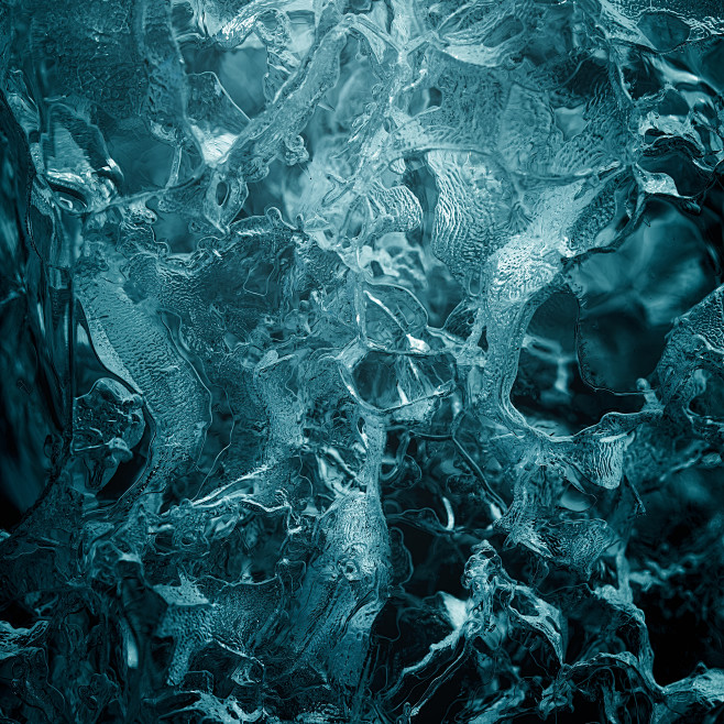 Behance 上的 F R E R I...