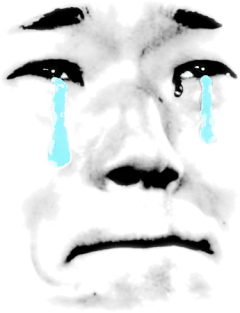 在线表情包制作器 - WakaTool|哇咔工具