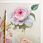 #watercolor #art #aquarelle #painting #drawing #sketch #art_we_inspire #arts_help #topcreator #rose #botanicalart #акварель