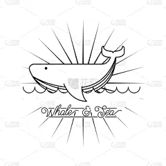 概念,海洋,自然,图像,壁纸,模板,鲸,动物,设计,装饰