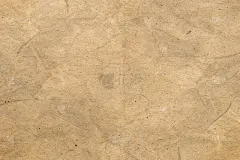皱巴巴的牛皮纸