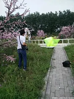 爱之物语照片-爱之物语图片-爱之物语素材