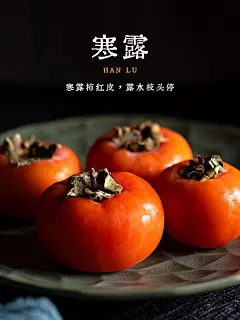 节气寒露晒美食简约风plog模板