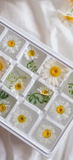 手机壁纸 - 高清图片，堆糖，美图壁纸兴趣社区