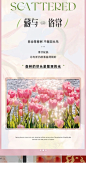 海报设计 | 图文排版 简约高级 ins/美业 - 小红书