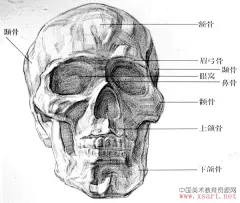 采集图片