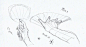 手拿扇子&团扇的动态绘画分享！ 画师：電気うなぎ #绘画学习# ​​​​