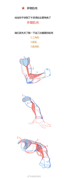 六月CH采集到【速写】结构