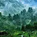 森林 山水风景H5背景