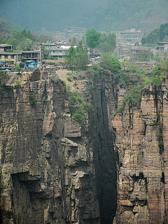 深海鱼鱼鱼采集到微景观