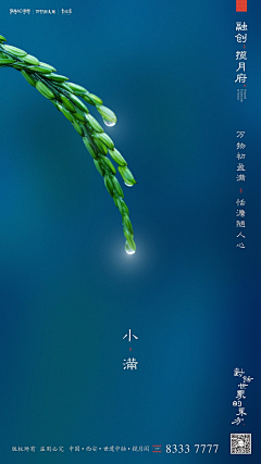 RicherTaozi采集到节气/节日