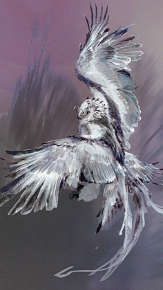 y-鹰/eagle-花瓣网|陪你做生活的设计师 | cg原画的x先生的照片 - 微