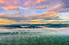 love特别来宾采集到风景