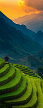 Sunset of Rice Terrace @ Mu Cang Chai, Vietnam by Ratnakorn Piyasirisorost