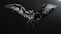 猫头鹰    翅膀    鹰   General 3840x2160 ASUS owl PC gaming technology simple background