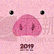 贺卡,猪,2019,春节,可爱的,新年前夕,传统节日,动物,中国,动物头