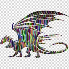 龙 飞龙 