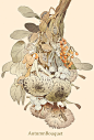 插画师  YUKI KAMBA ​ ​​​​