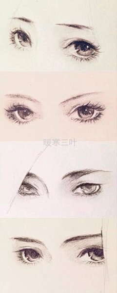 菘菘S采集到五官刻画