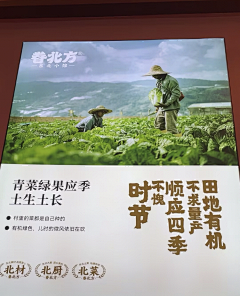 Tom猫丶采集到餐饮空间