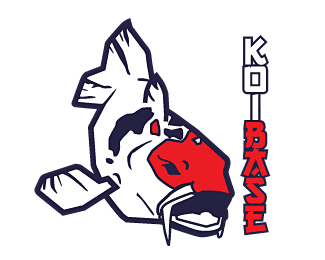 “koi logo”的图片搜索结果