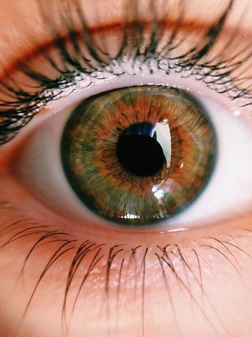 瞳 眸子 眼睛 瞳孔 眼