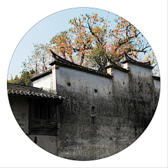 收集者小陈采集到风景